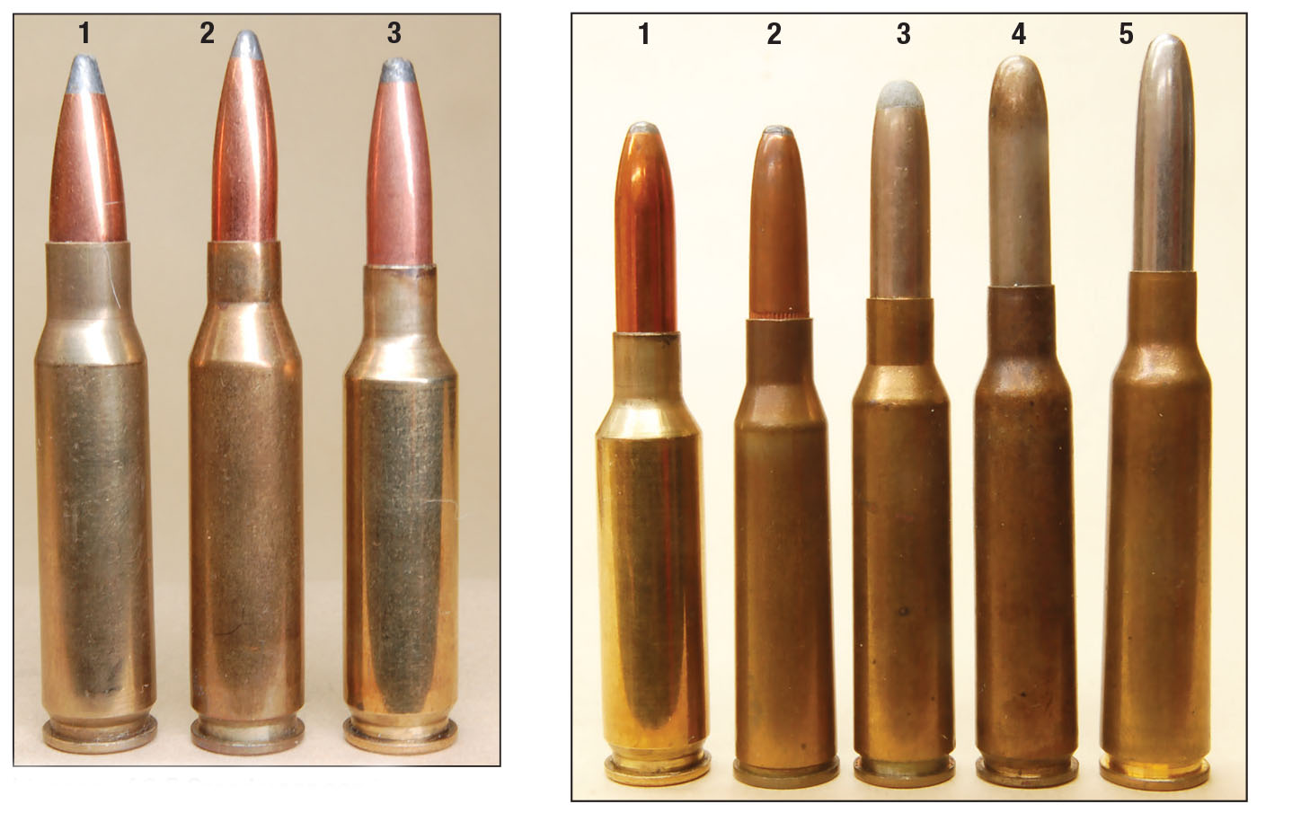 Lineage of 6.5 Creedmoor can be seen clearly here. (1) 7.62x51mm (308 Winchester), (2) 260 Remington (6.5-308) and (3) 6.5 Creedmoor. The (1) 6.5 Creedmoor is shown with (2) 6.5 Japanese, (3) 6.5 Carcano, (4) 6.5x54mm Mannlicher-Schonauer and (5) 6.5x55mm Swedish.